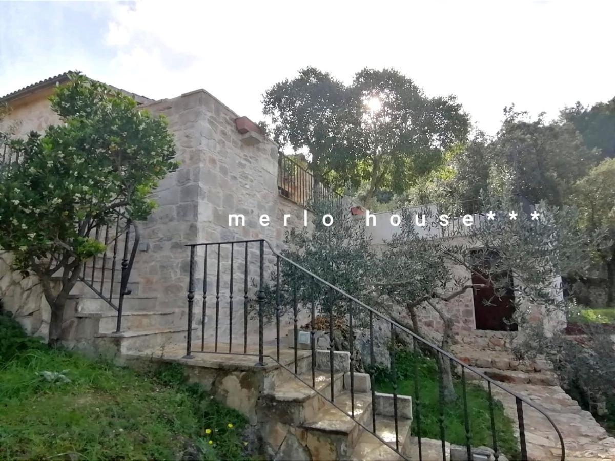 Merlo House Dol Hvar Stari Grad  Zewnętrze zdjęcie