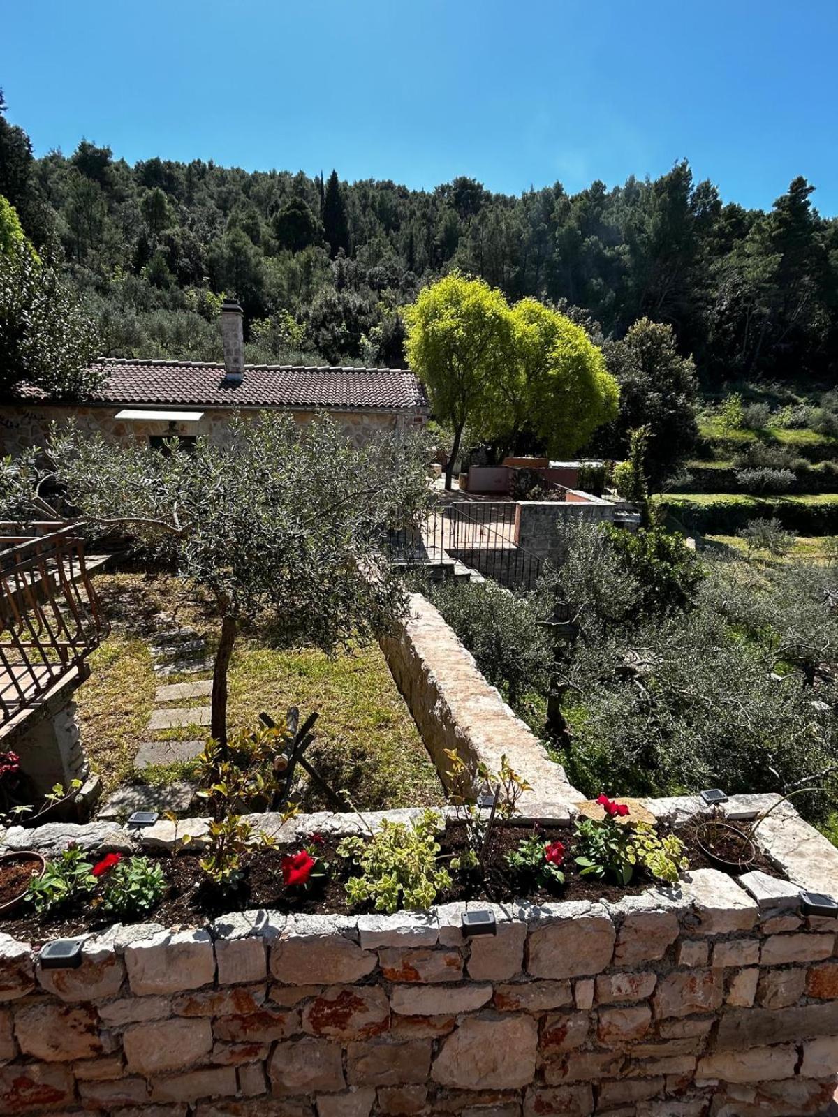 Merlo House Dol Hvar Stari Grad  Zewnętrze zdjęcie